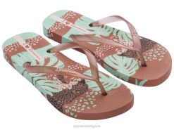 vrouwen Ik hou van zonneprint Ipanema bruinen schoenen 2L4N256